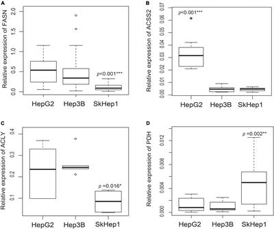 Dual-tracer positron emission tomography/computed tomography as an imaging probe of de novo lipogenesis in preclinical models of hepatocellular carcinoma